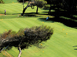 Terrain de golf