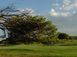 Terrain de golf