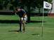 Pitch & Putt