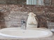 Bathroom of the
