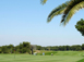 Terrain de golf